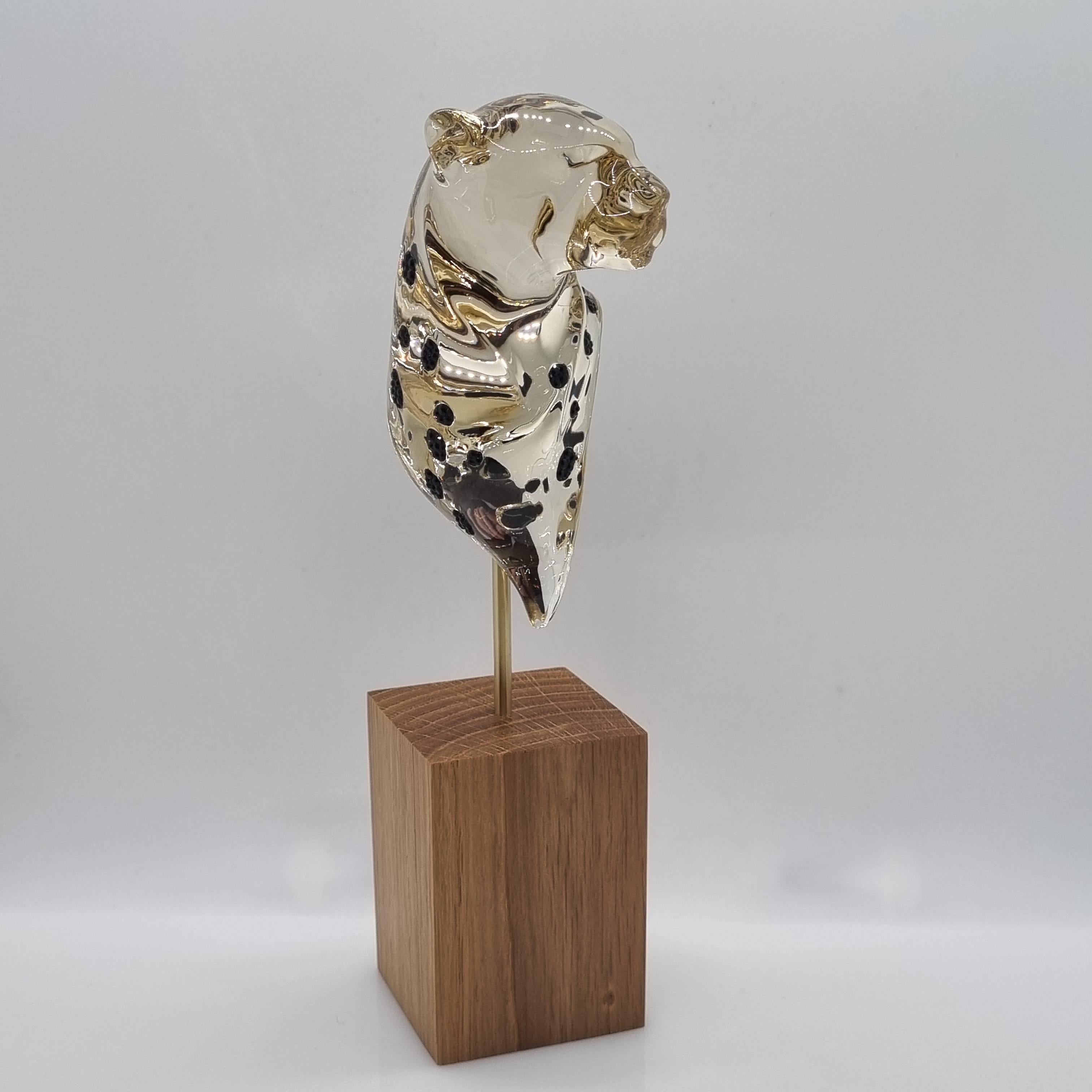 SWAROVSKI Elegance of Africa Gepardenkopf Cheetah 5638395