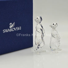 Lade das Bild in den Galerie-Viewer, SWAROVSKI Erdmännchen 5135929
