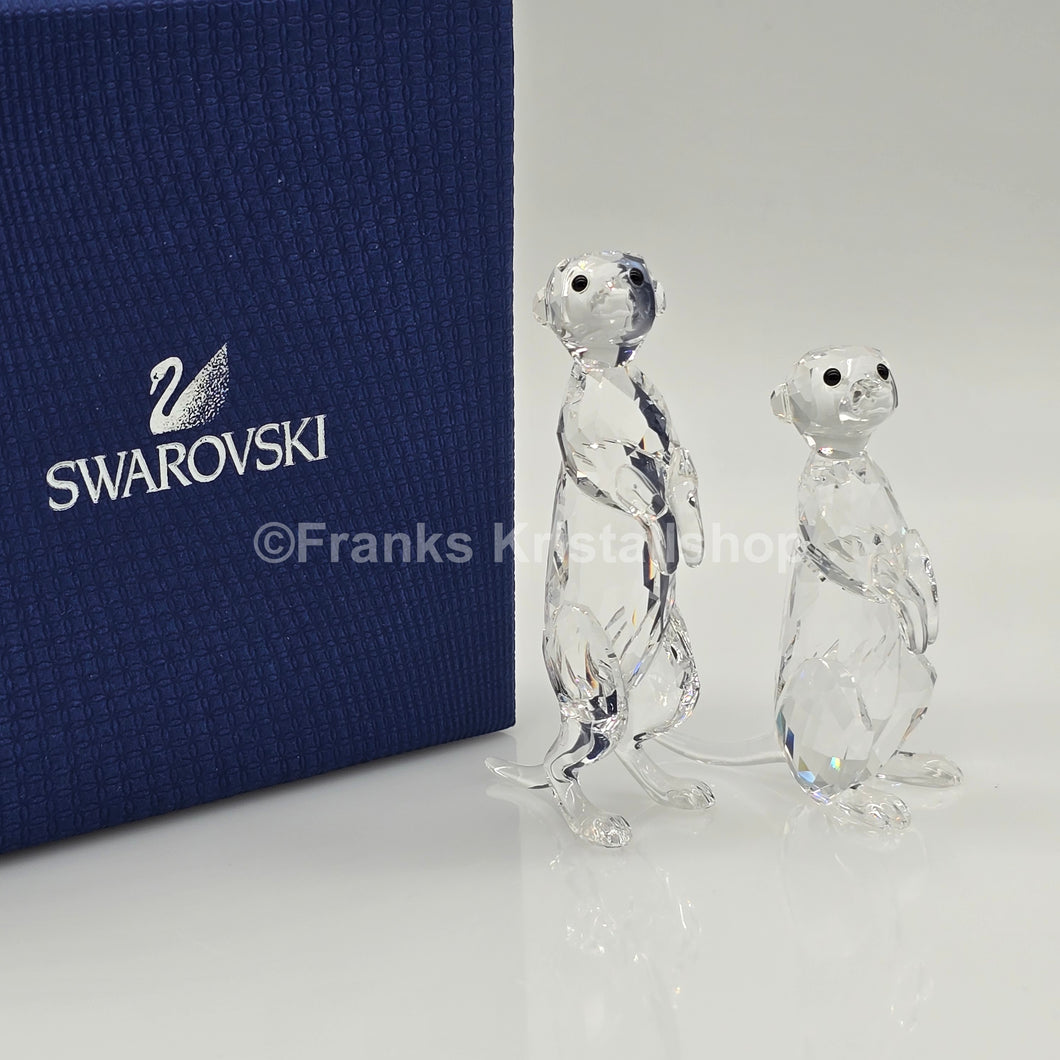 SWAROVSKI Erdmännchen 5135929