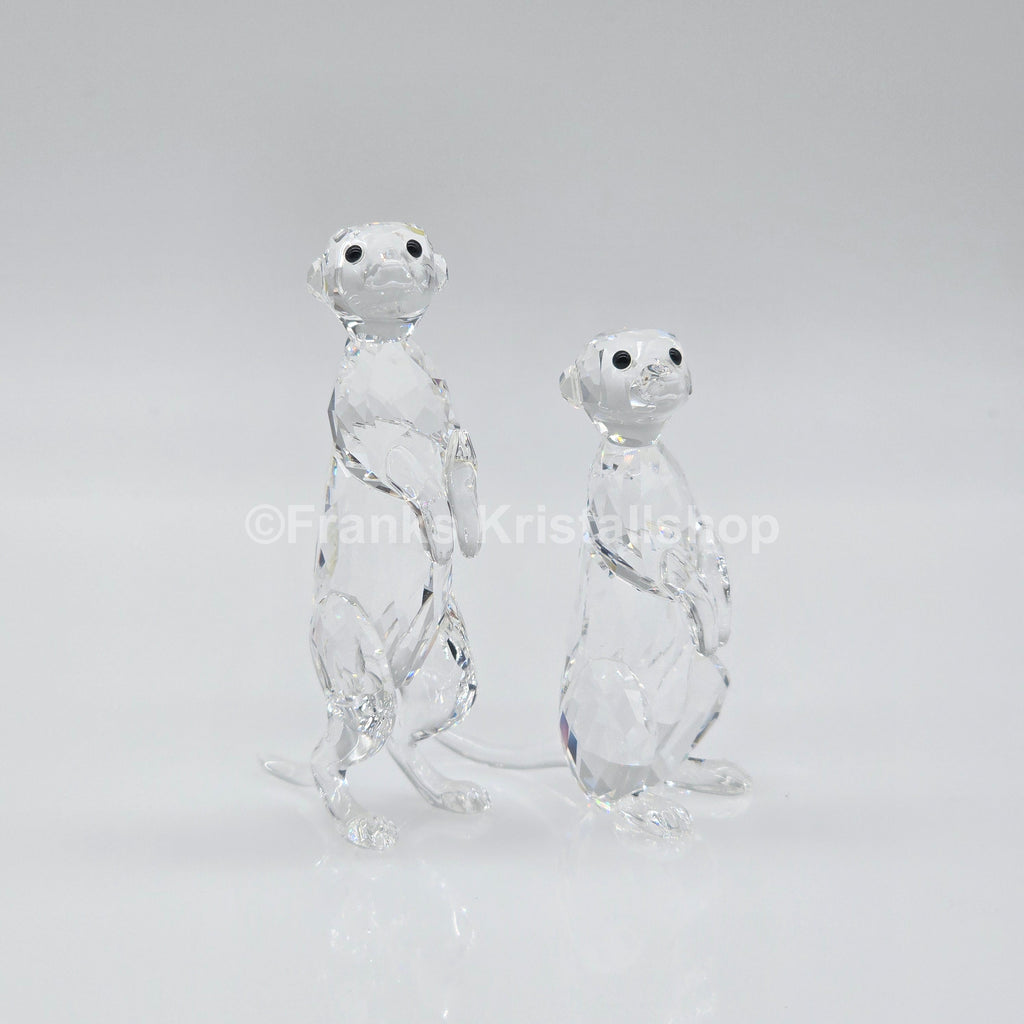 SWAROVSKI Erdmännchen 5135929