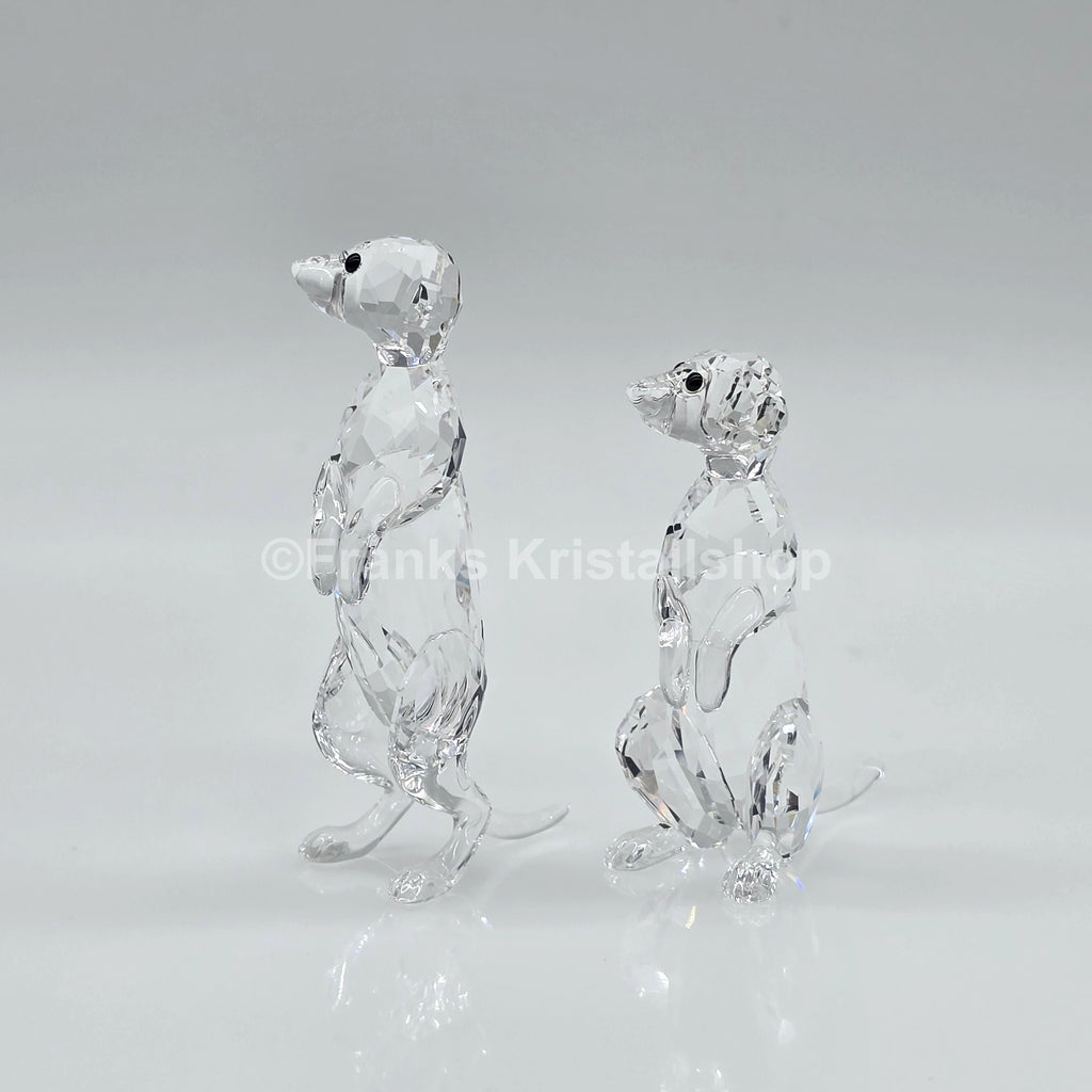 SWAROVSKI Erdmännchen 5135929