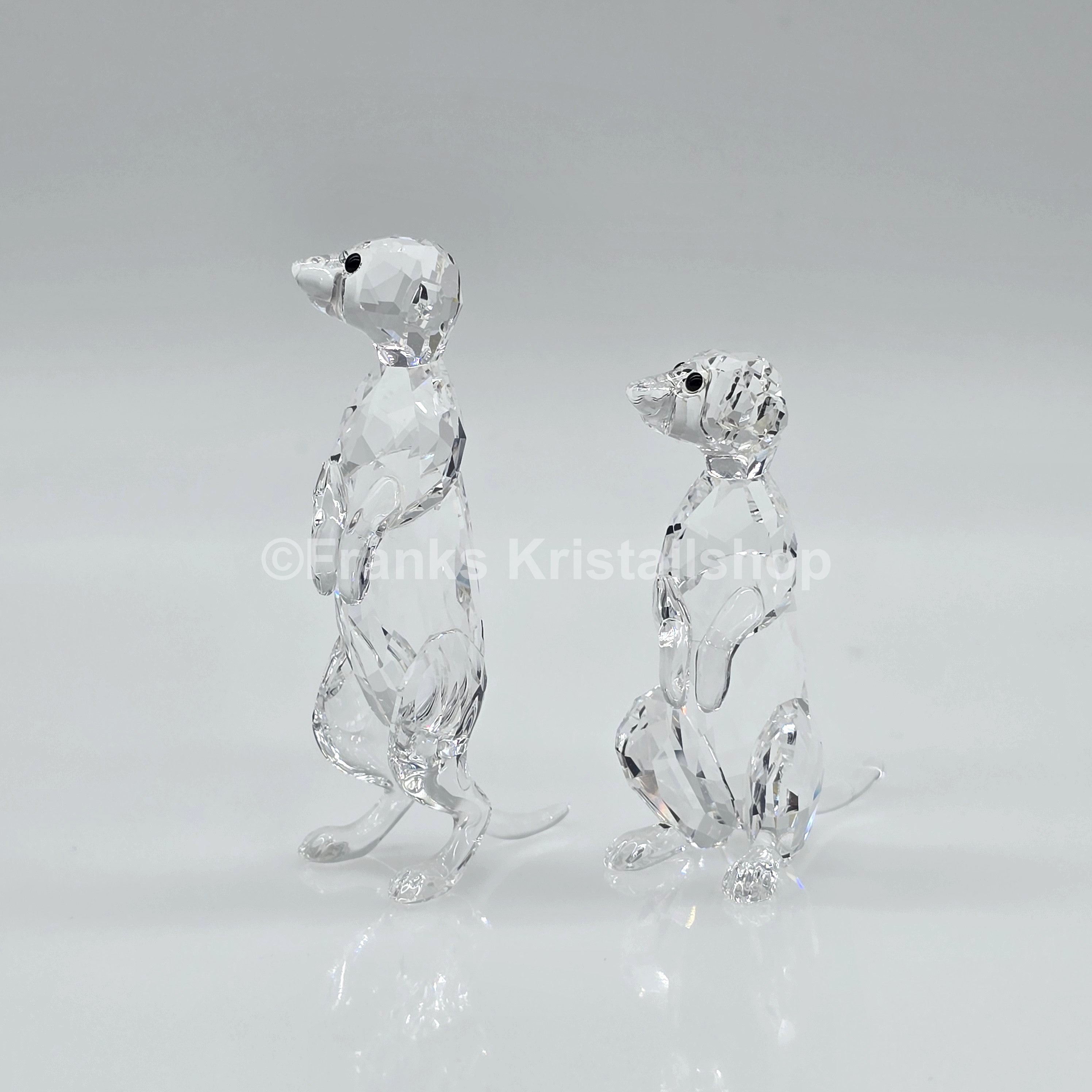 SWAROVSKI Erdmännchen 5135929