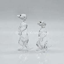 Lade das Bild in den Galerie-Viewer, SWAROVSKI Erdmännchen 5135929
