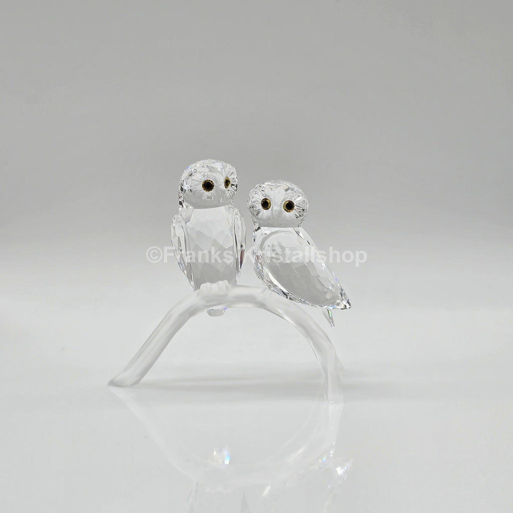 SWAROVSKI Eulen auf Ast 1003312