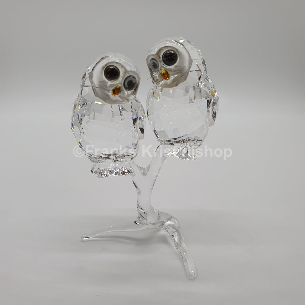 SWAROVSKI Eulenpaar 5493722