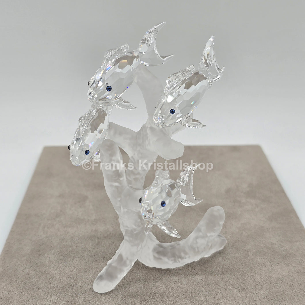 SWAROVSKI Fischschwarm 666355 oU