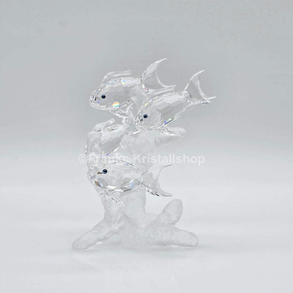 SWAROVSKI Fischschwarm 666355 oU