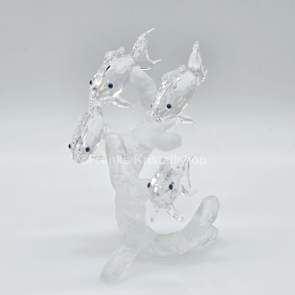 SWAROVSKI Fischschwarm 666355 oU