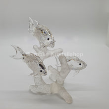 Lade das Bild in den Galerie-Viewer, SWAROVSKI Fischschwarm 666355
