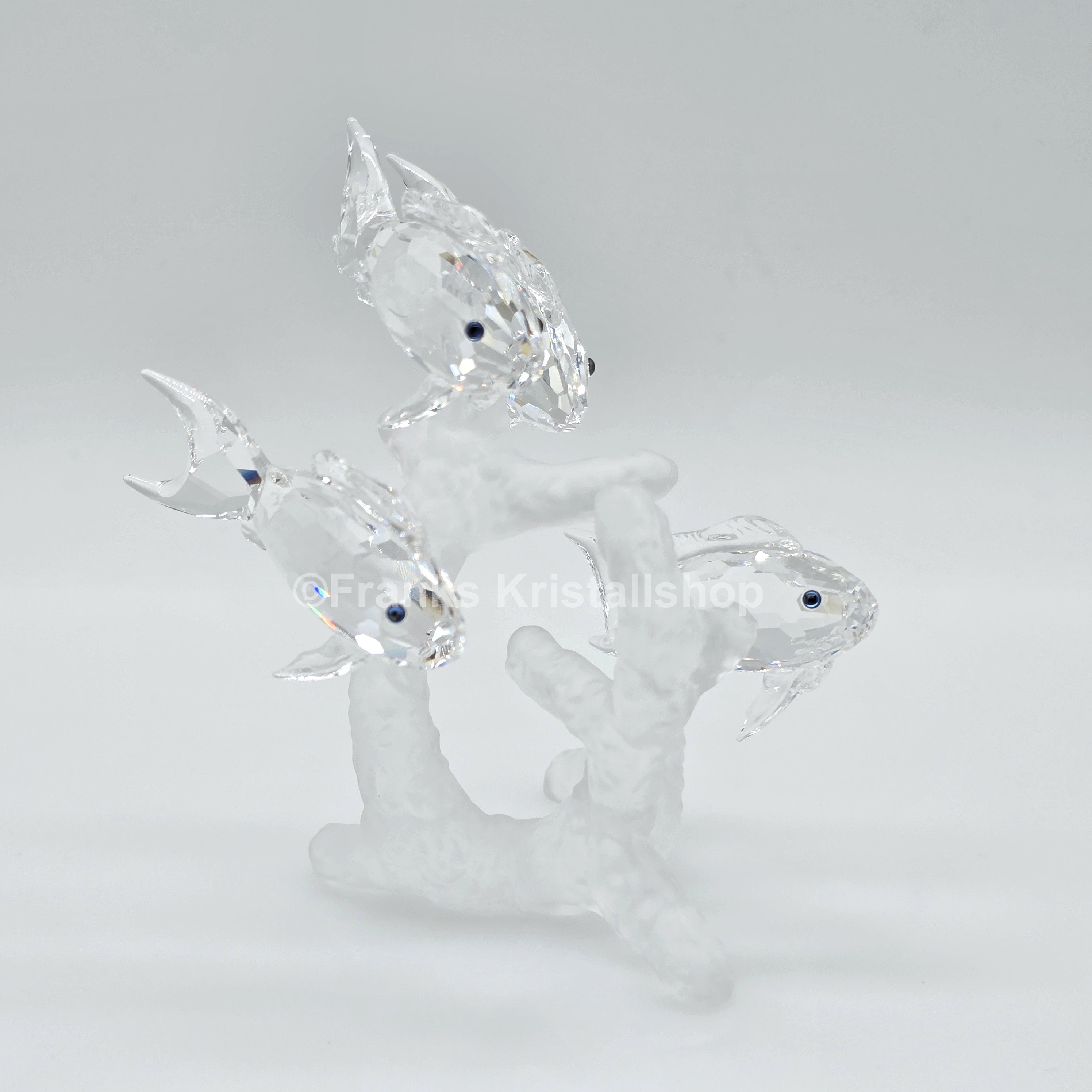 SWAROVSKI Fischschwarm 666355 oU