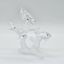 Lade das Bild in den Galerie-Viewer, SWAROVSKI Fischschwarm 666355 oU
