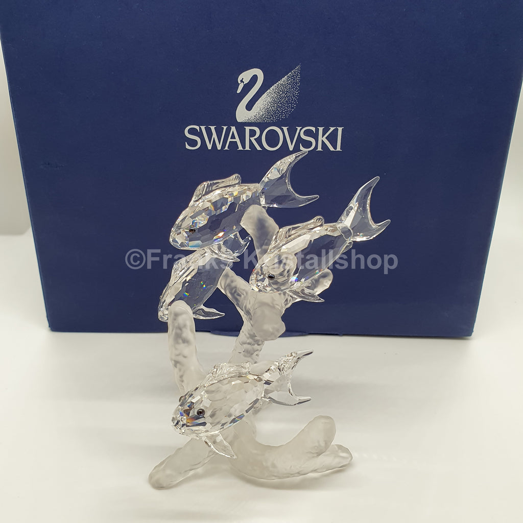 SWAROVSKI Fischschwarm 666355 oU