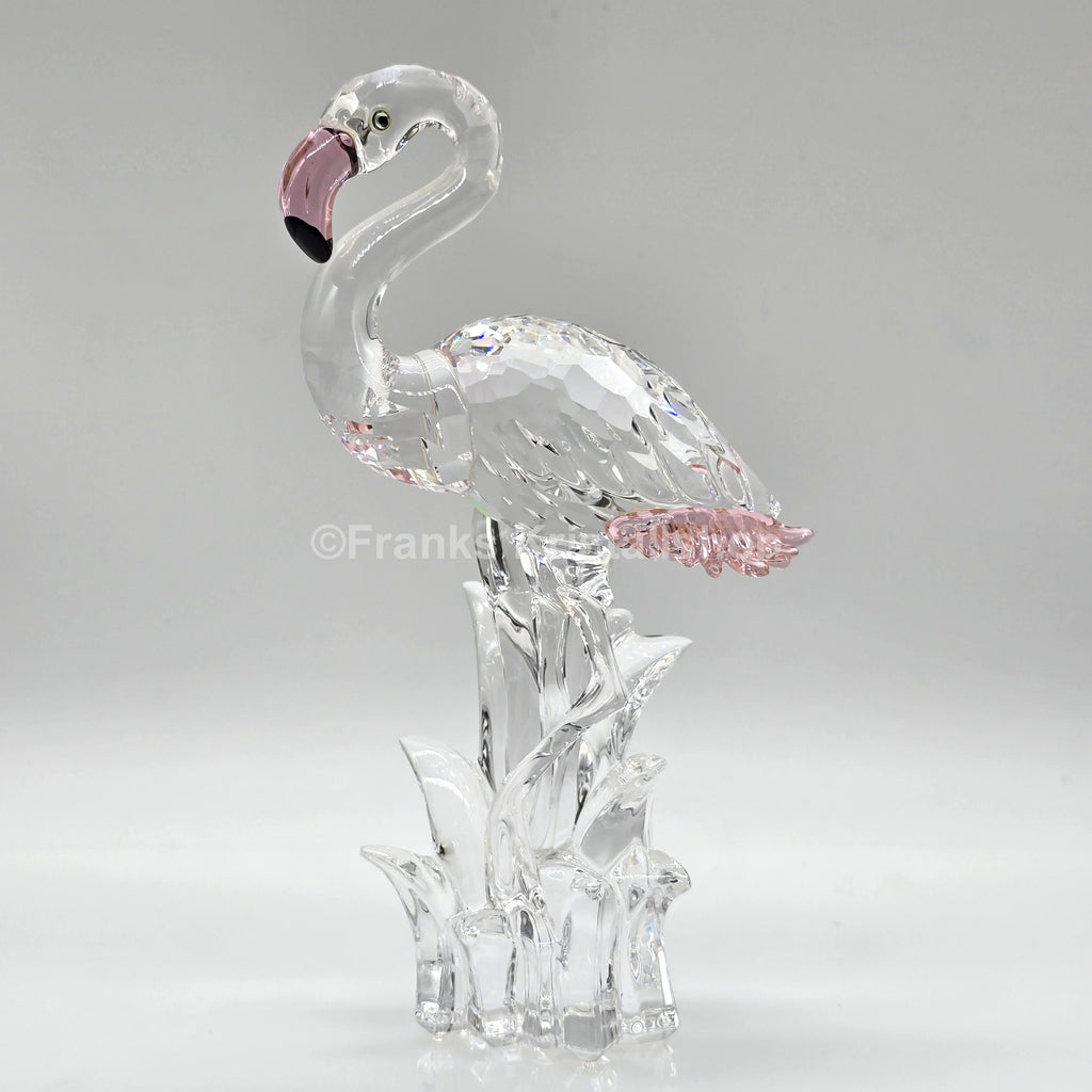 SWAROVSKI Flamingo 289733 oU