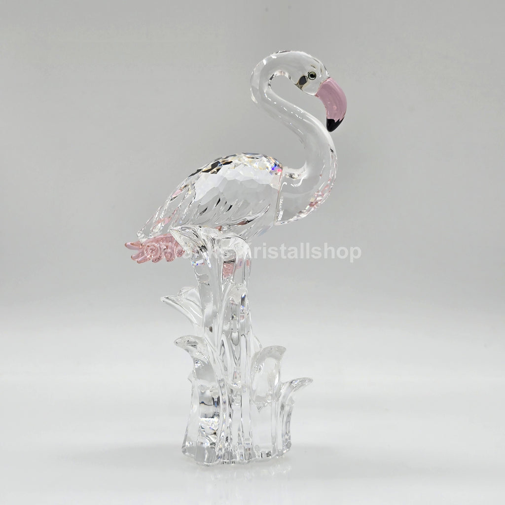 SWAROVSKI Flamingo 289733 oU