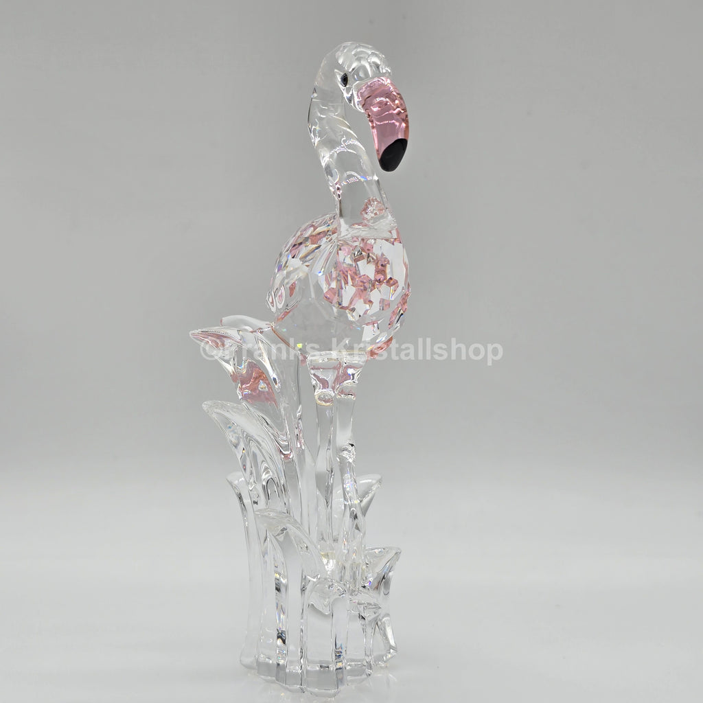 SWAROVSKI Flamingo 289733 oU