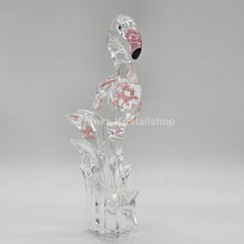 Lade das Bild in den Galerie-Viewer, SWAROVSKI Flamingo 289733 oU
