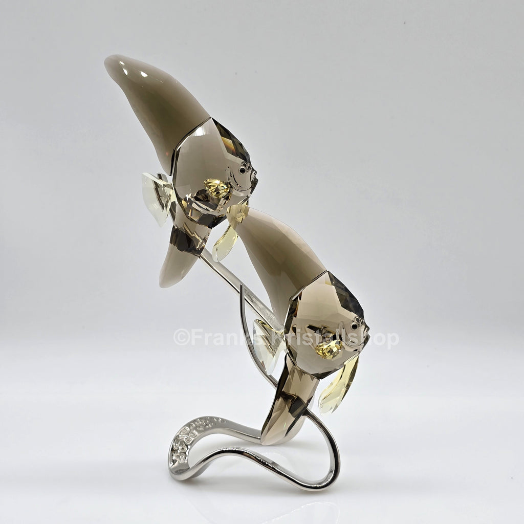 SWAROVSKI Crystal Paradise Fledermausfisch 1036571 oU
