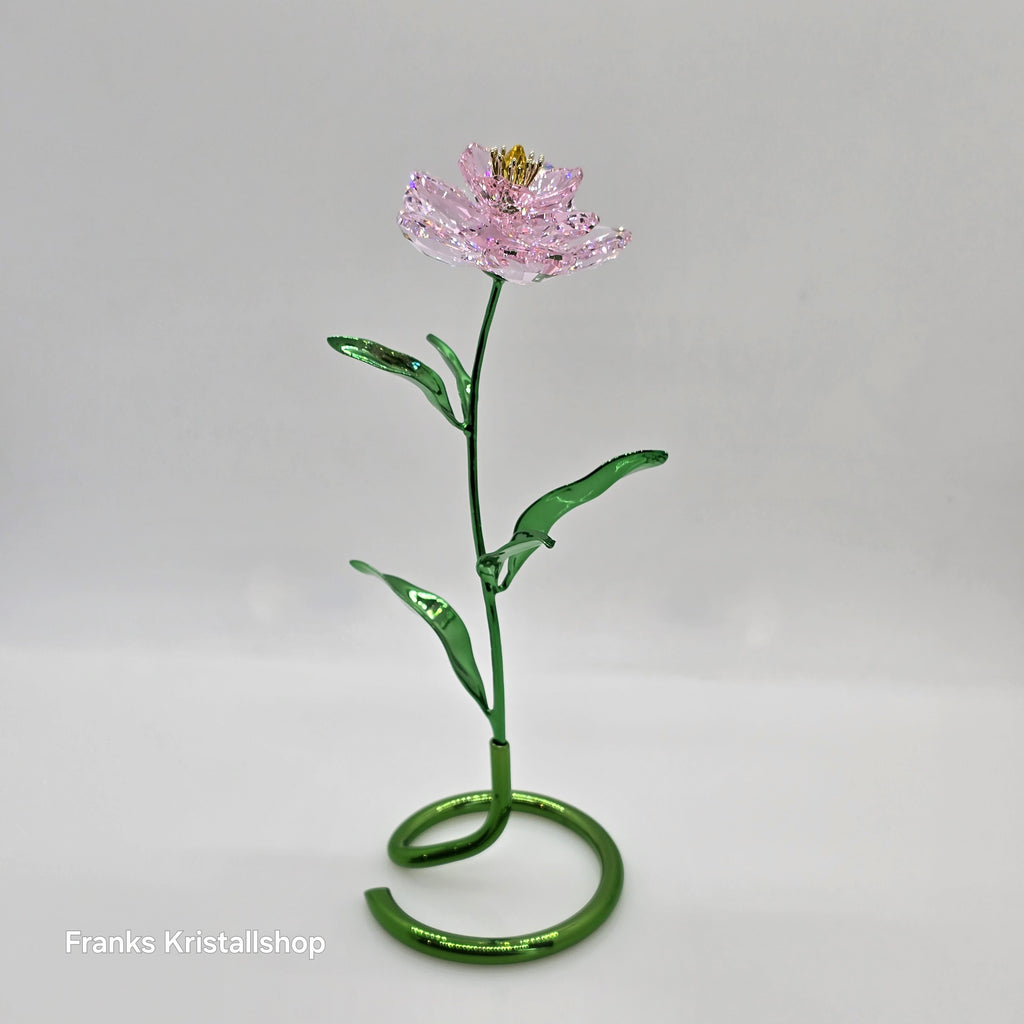 SWAROVSKI Florere Blume Pfingstrose Blumenträume 5668065