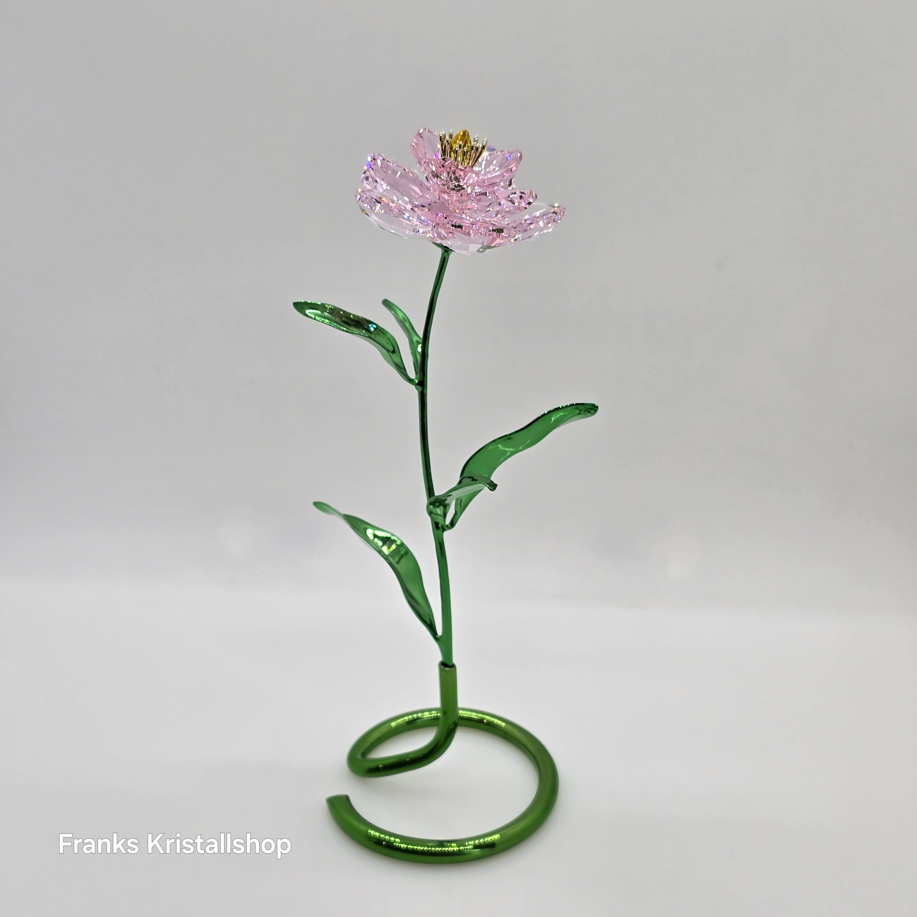 SWAROVSKI Florere Blume Pfingstrose Blumenträume 5668065