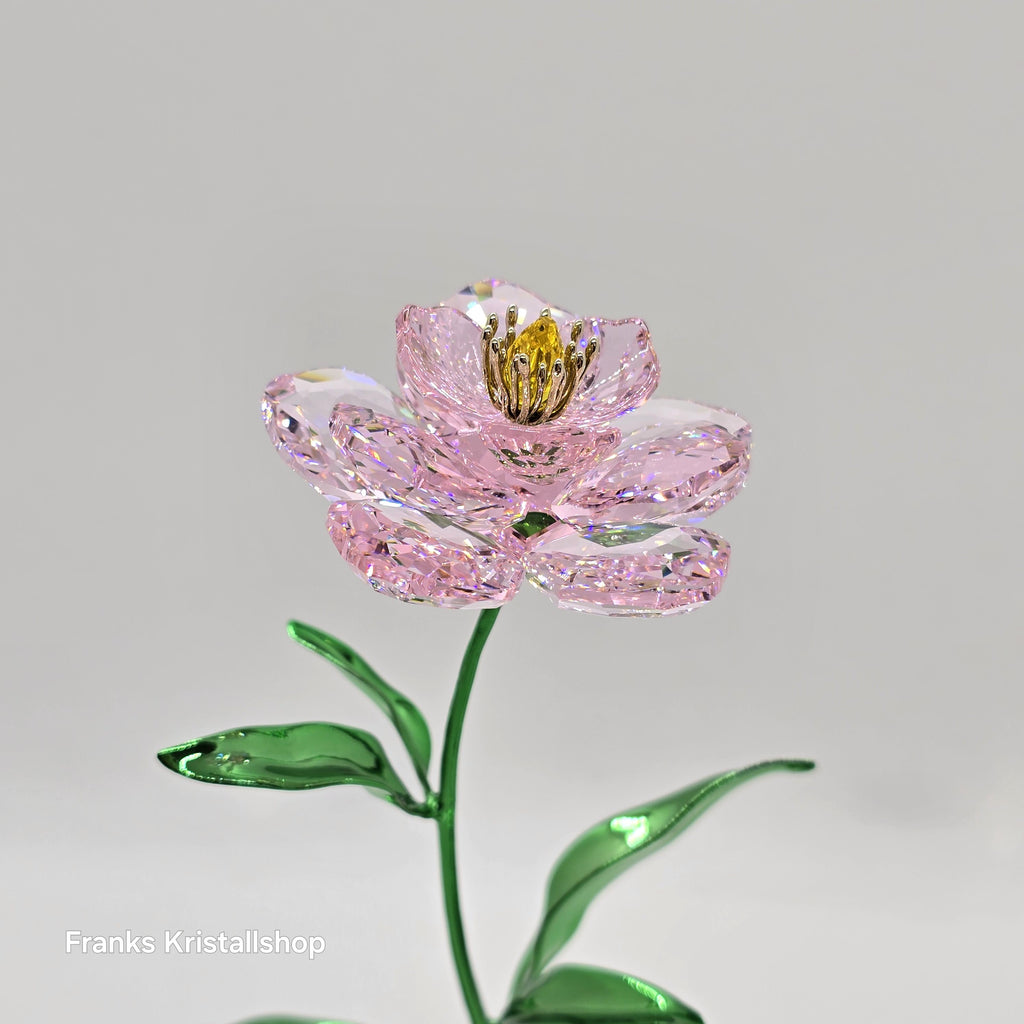 SWAROVSKI Florere Blume Pfingstrose Blumenträume 5668065