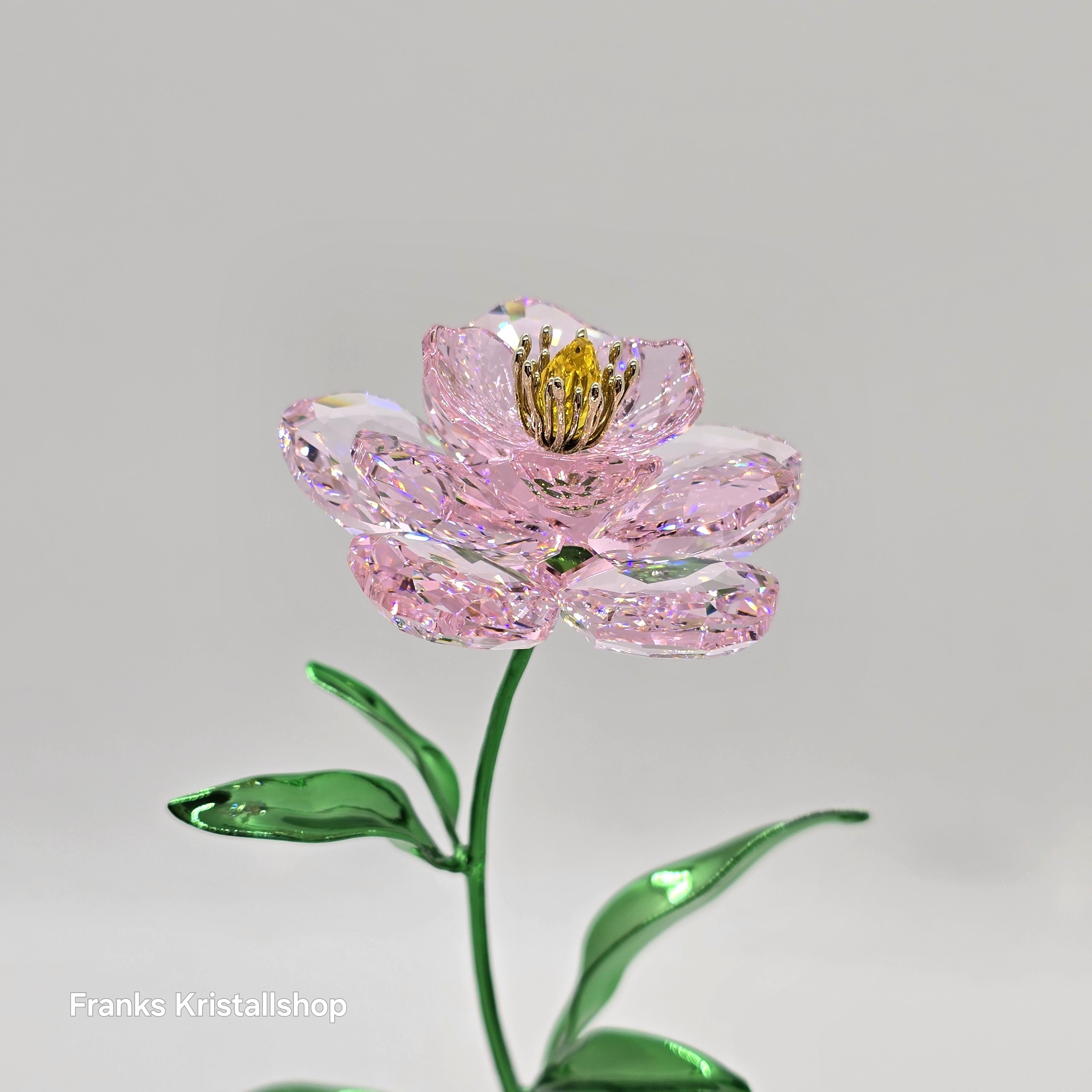 SWAROVSKI Florere Blume Pfingstrose Blumenträume 5668065