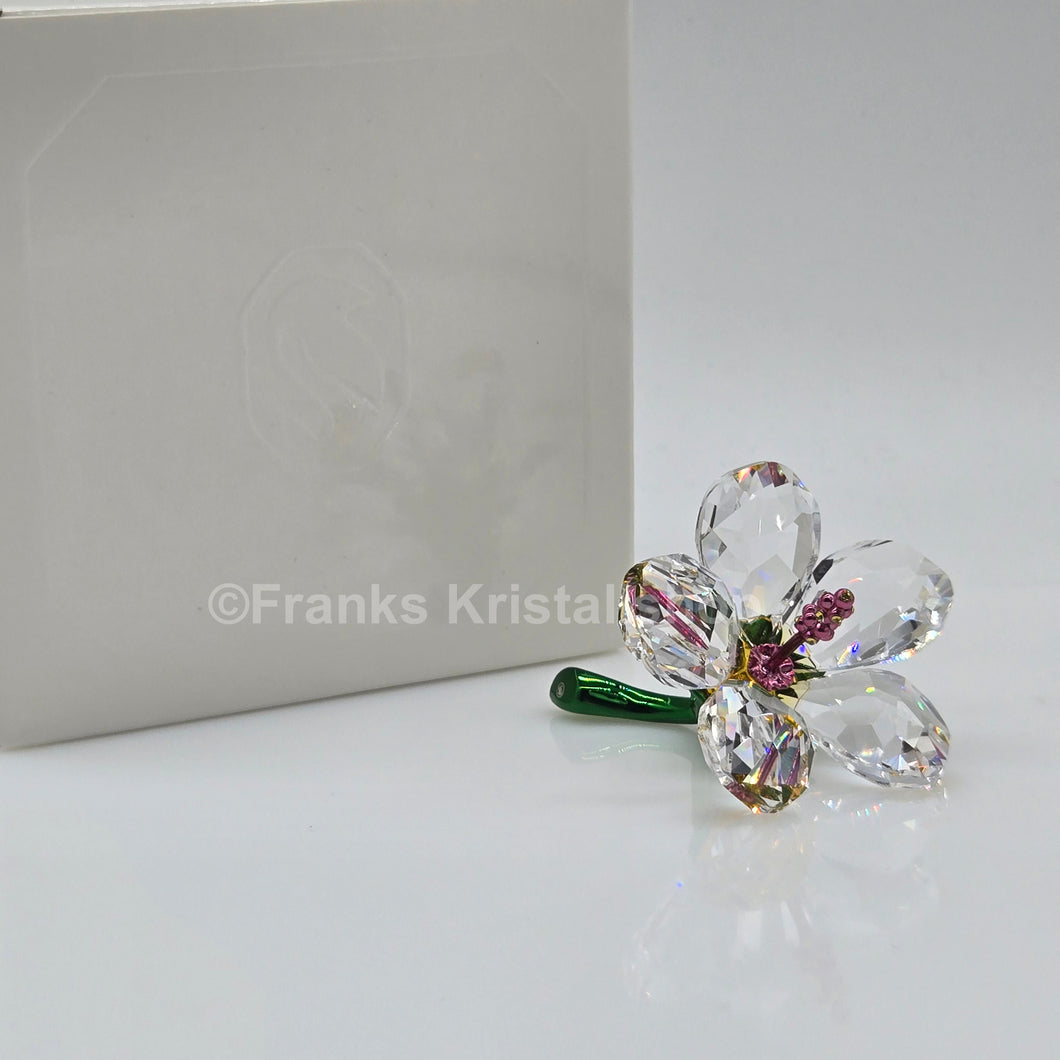 SWAROVSKI Florere Hibiskus klein Blumenträume 5690534