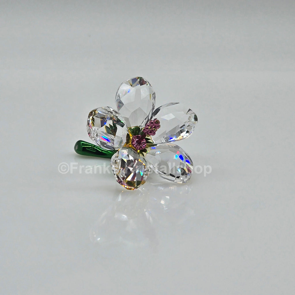 SWAROVSKI Florere Hibiskus klein Blumenträume 5690534