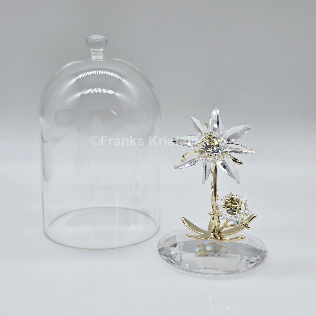SWAROVSKI Florere Edelweiß Jubiläums Glasglocke 130 Jahre 5701376