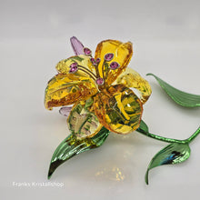 Lade das Bild in den Galerie-Viewer, SWAROVSKI Florere Lilie Groß Blumenträume 5671725
