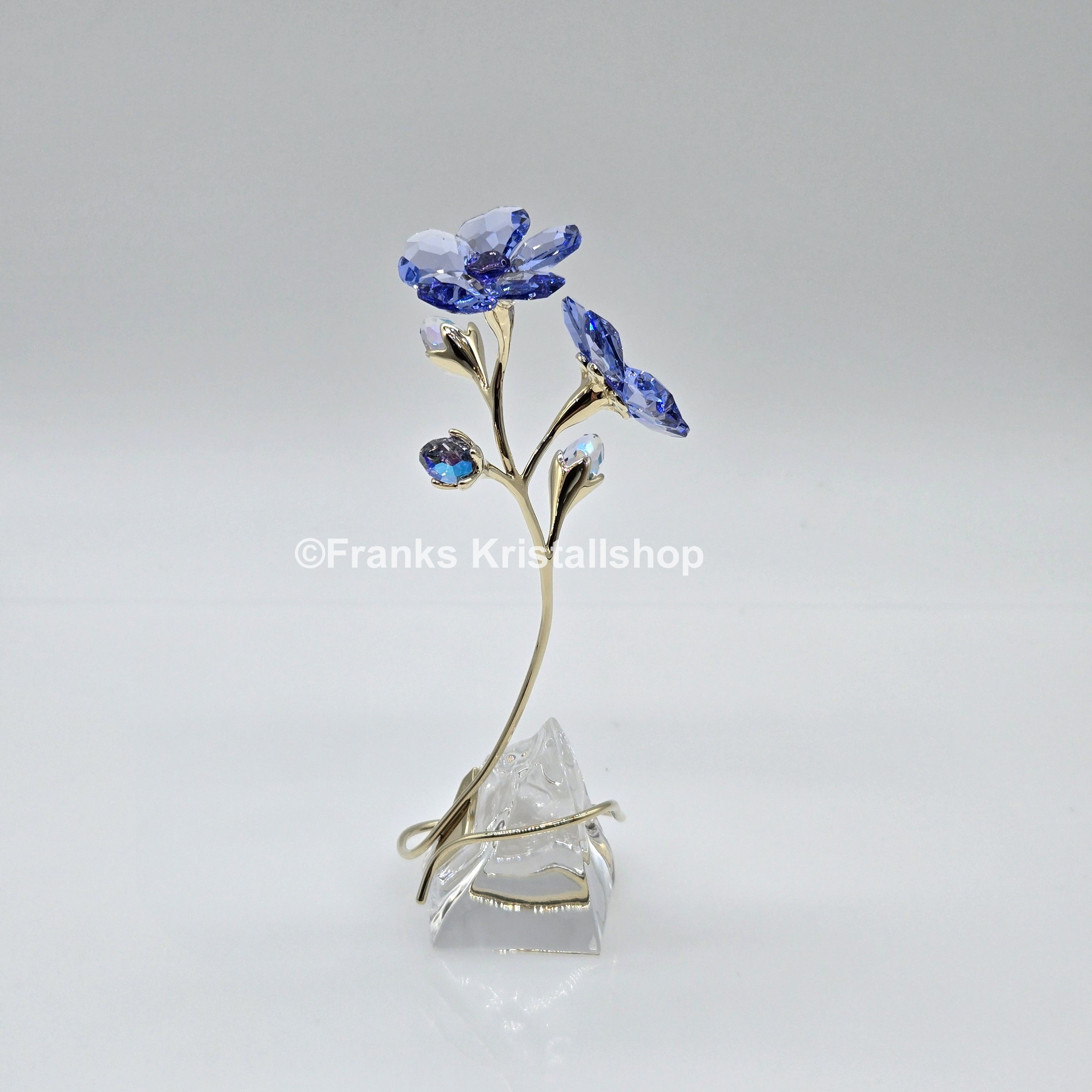 SWAROVSKI Blume Florere Rozanne Geranie Blumenträume 5693143