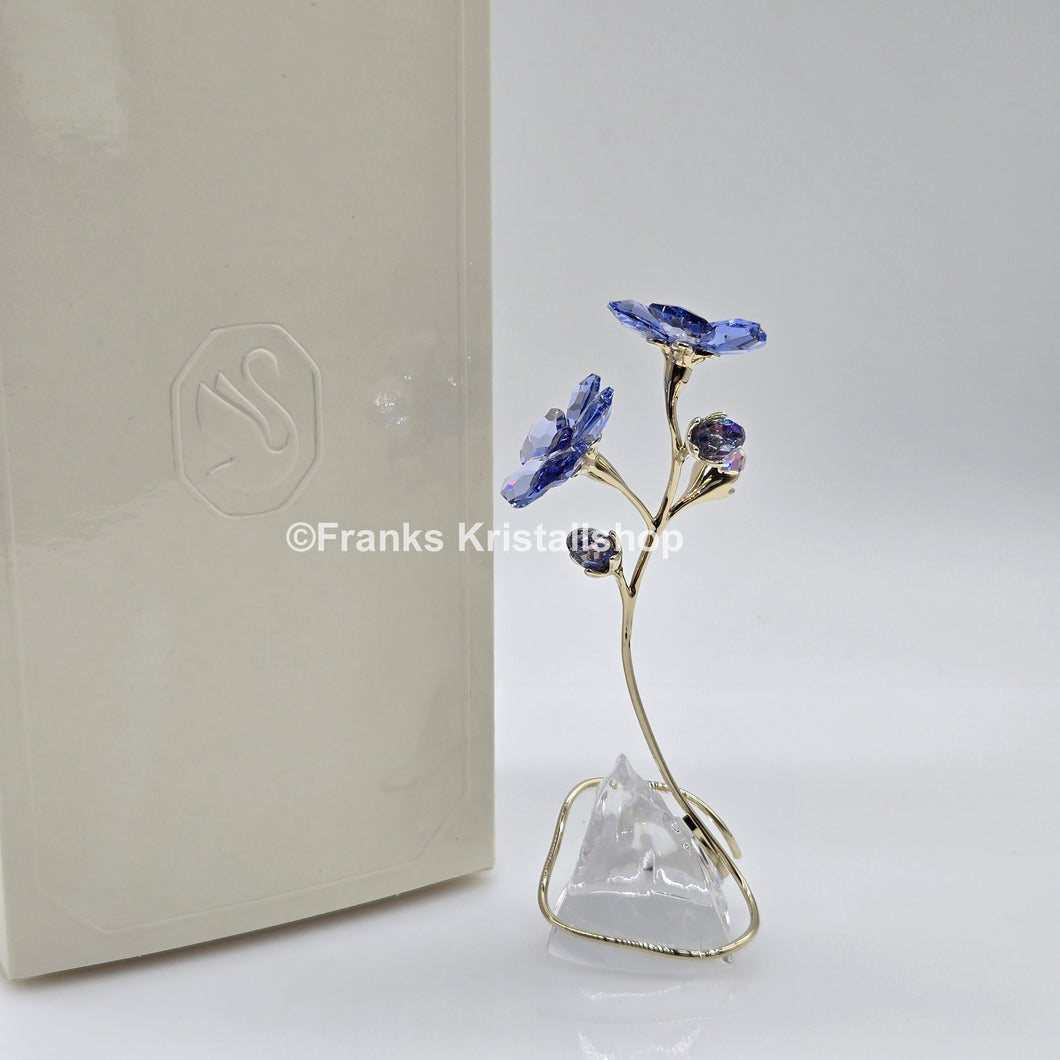 SWAROVSKI Blume Florere Rozanne Geranie Blumenträume 5693143
