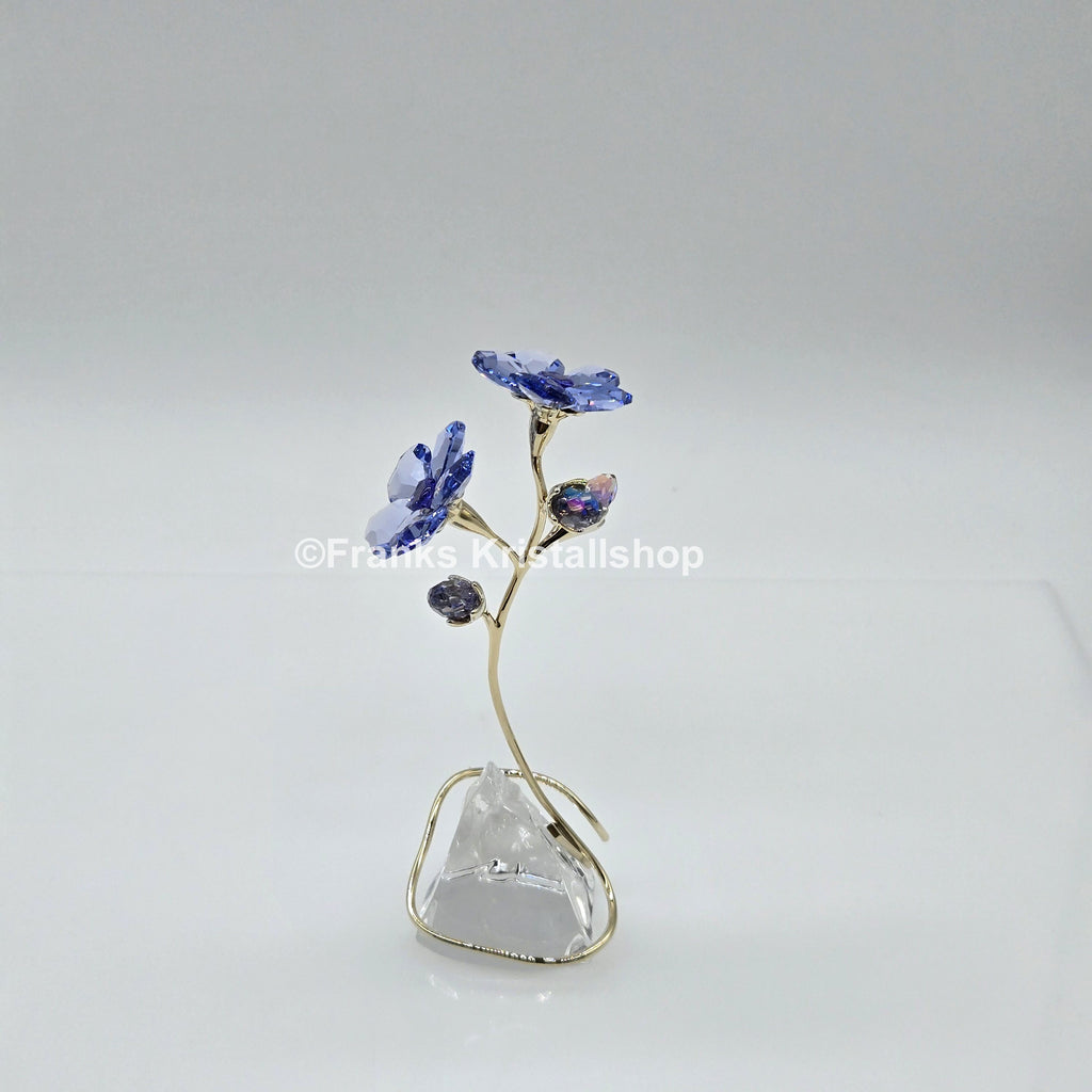 SWAROVSKI Blume Florere Rozanne Geranie Blumenträume 5693143