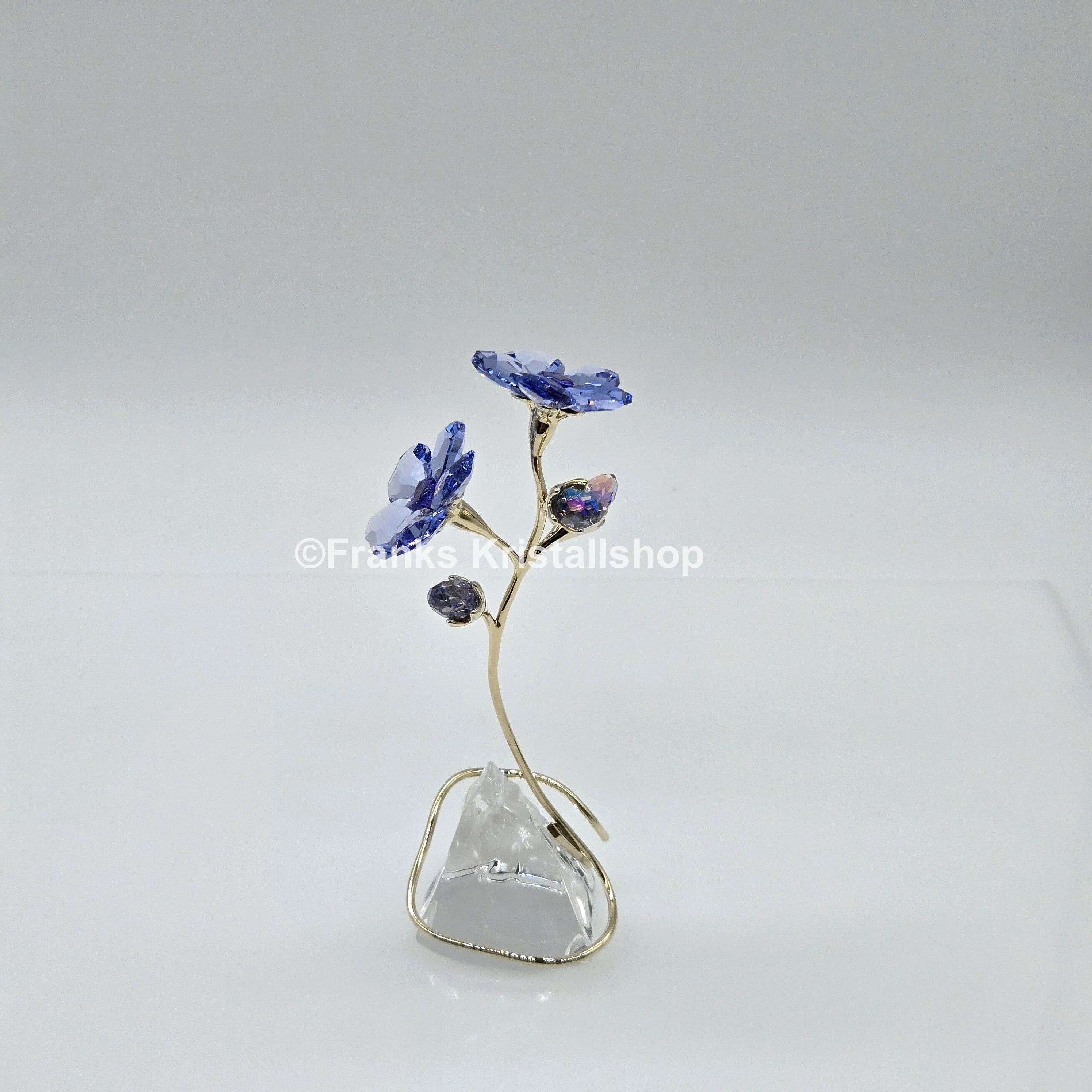 SWAROVSKI Blume Florere Rozanne Geranie Blumenträume 5693143