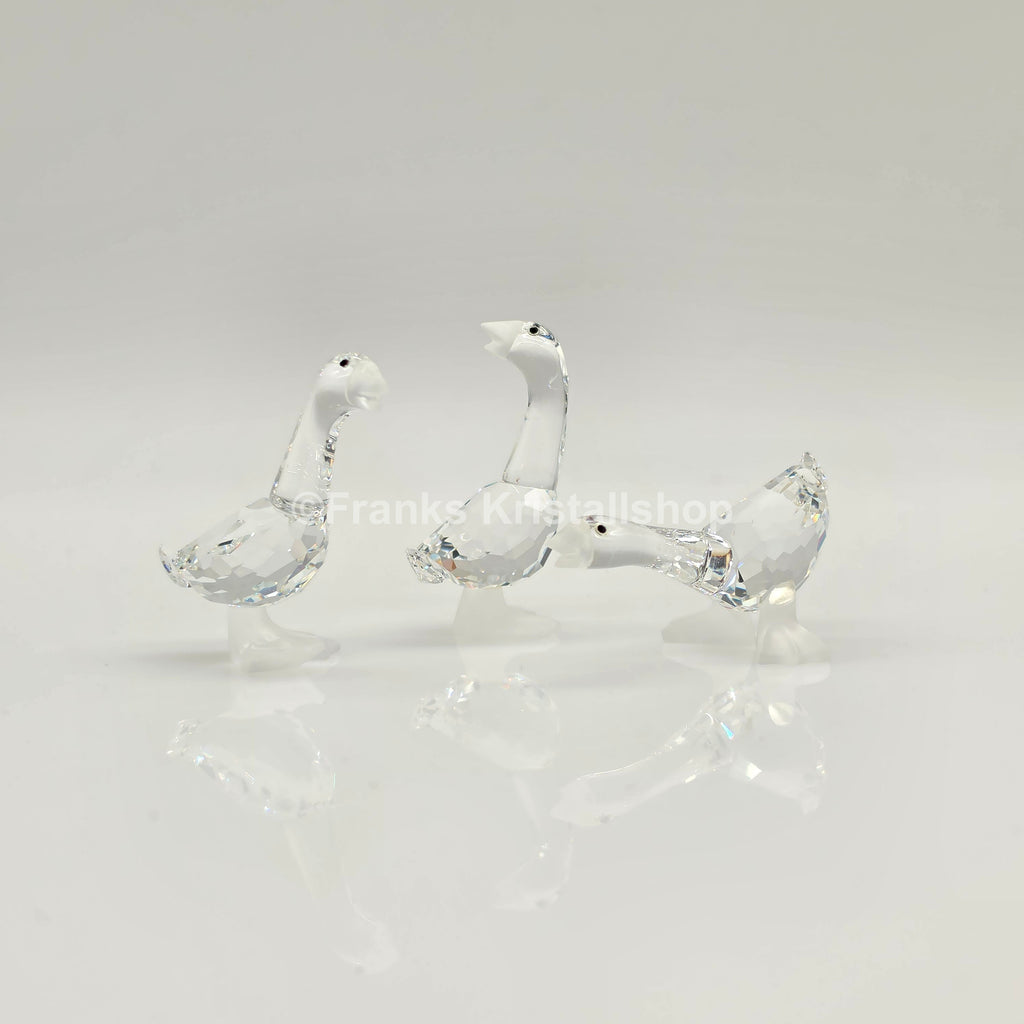SWAROVSKI Gänsekinder Tom, Harry und Dick 174961, 174962, 174963 oV