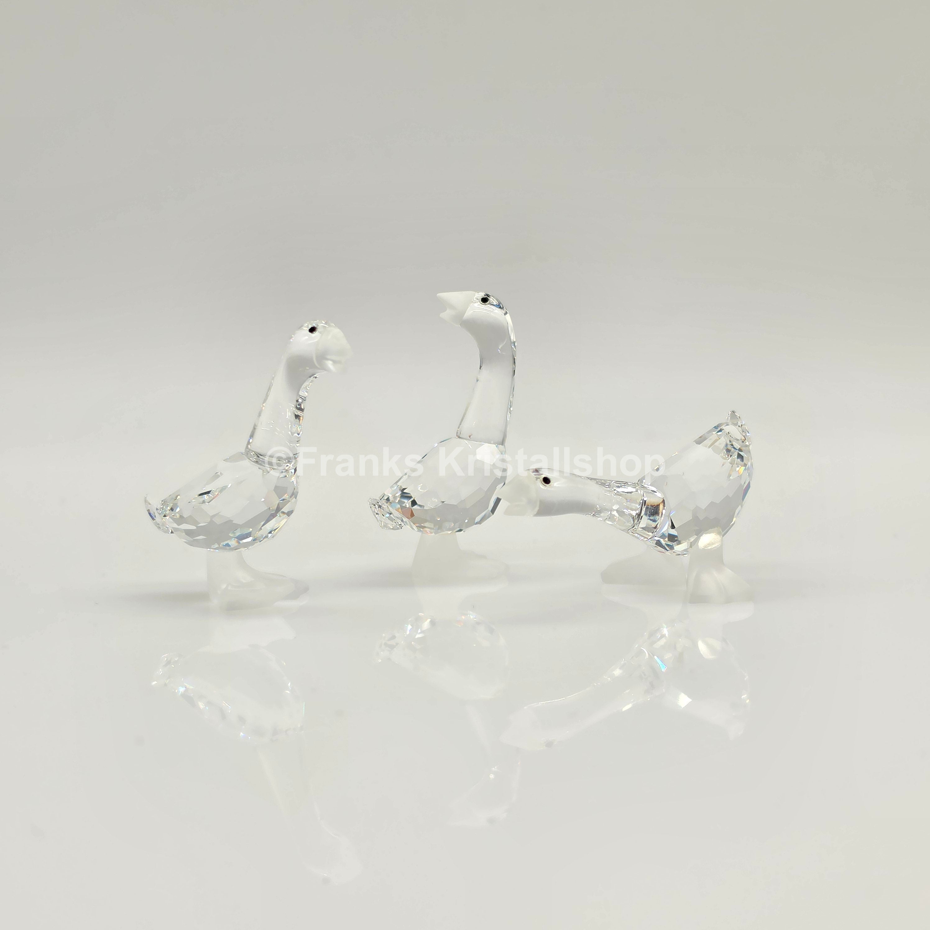 SWAROVSKI Gänsekinder Tom, Harry und Dick 174961, 174962, 174963 oV