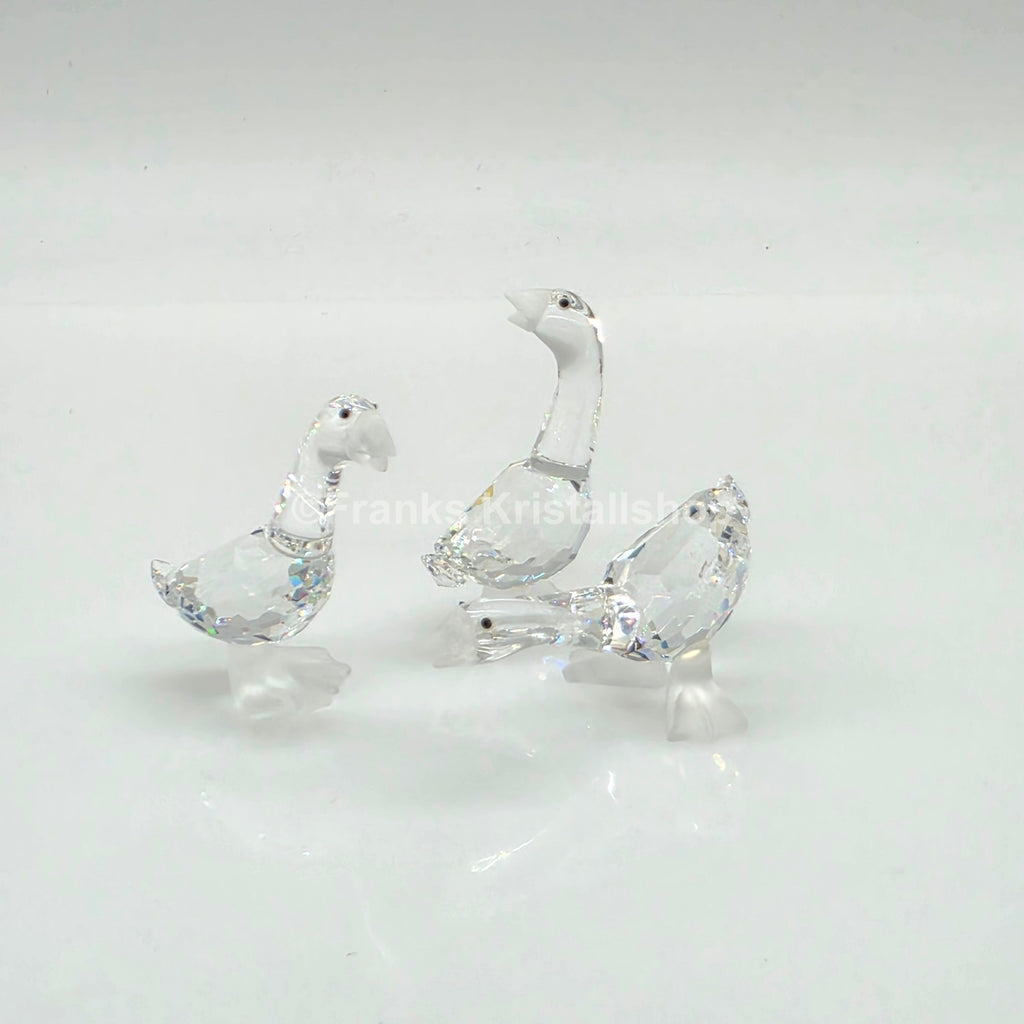 SWAROVSKI Gänsekinder Tom, Harry und Dick 174961, 174962, 174963 oV