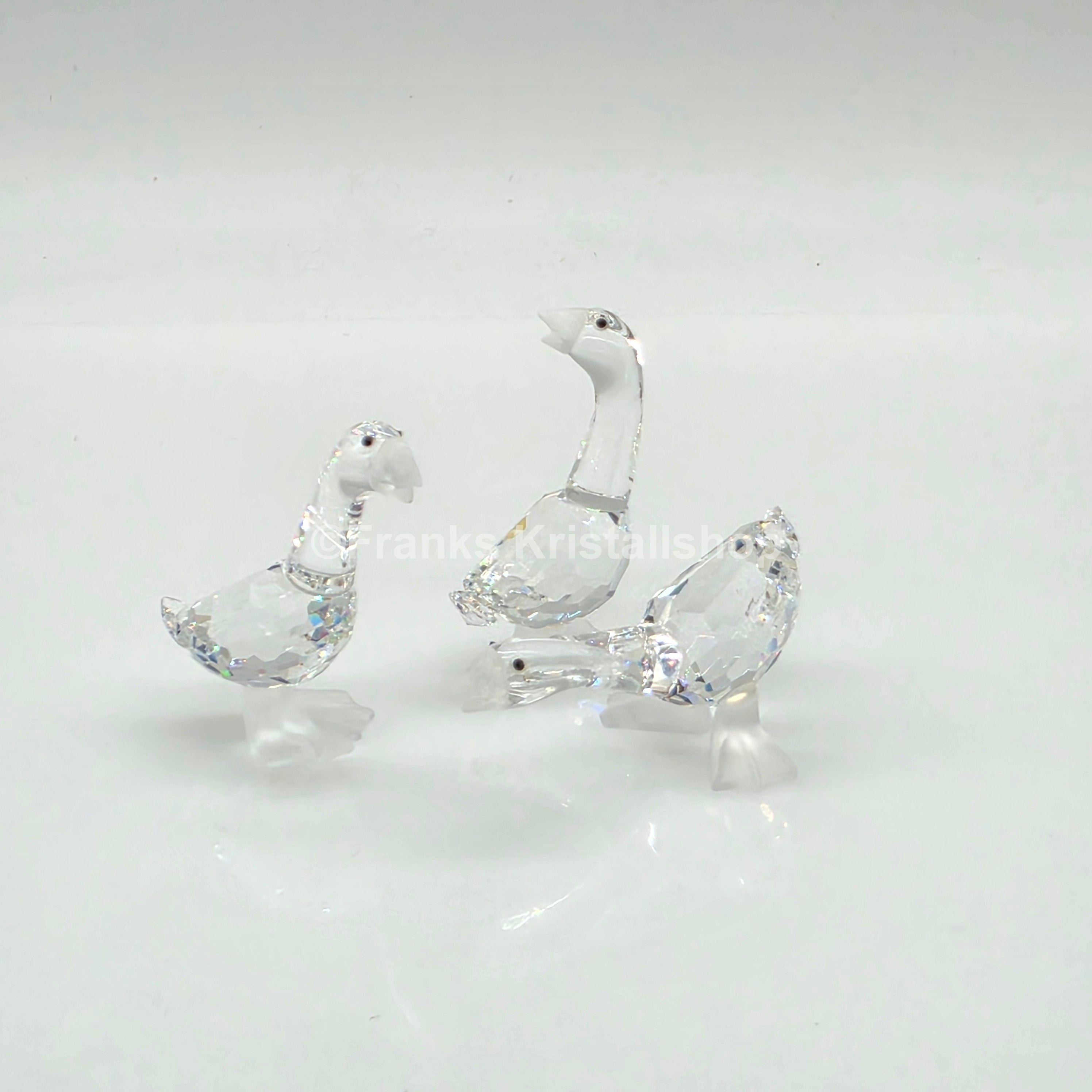 SWAROVSKI Gänsekinder Tom, Harry und Dick 174961, 174962, 174963 oV