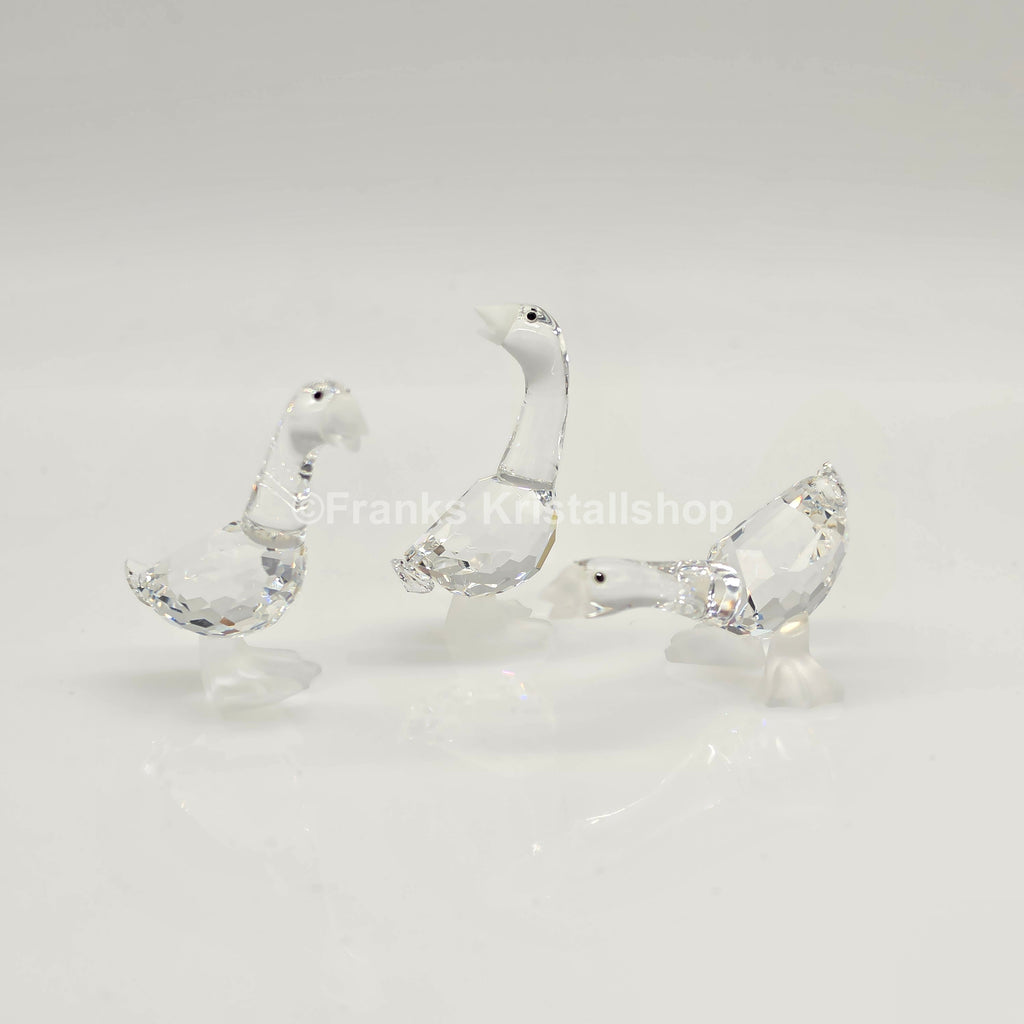 SWAROVSKI Gänsekinder Tom, Harry und Dick 174961, 174962, 174963 oV