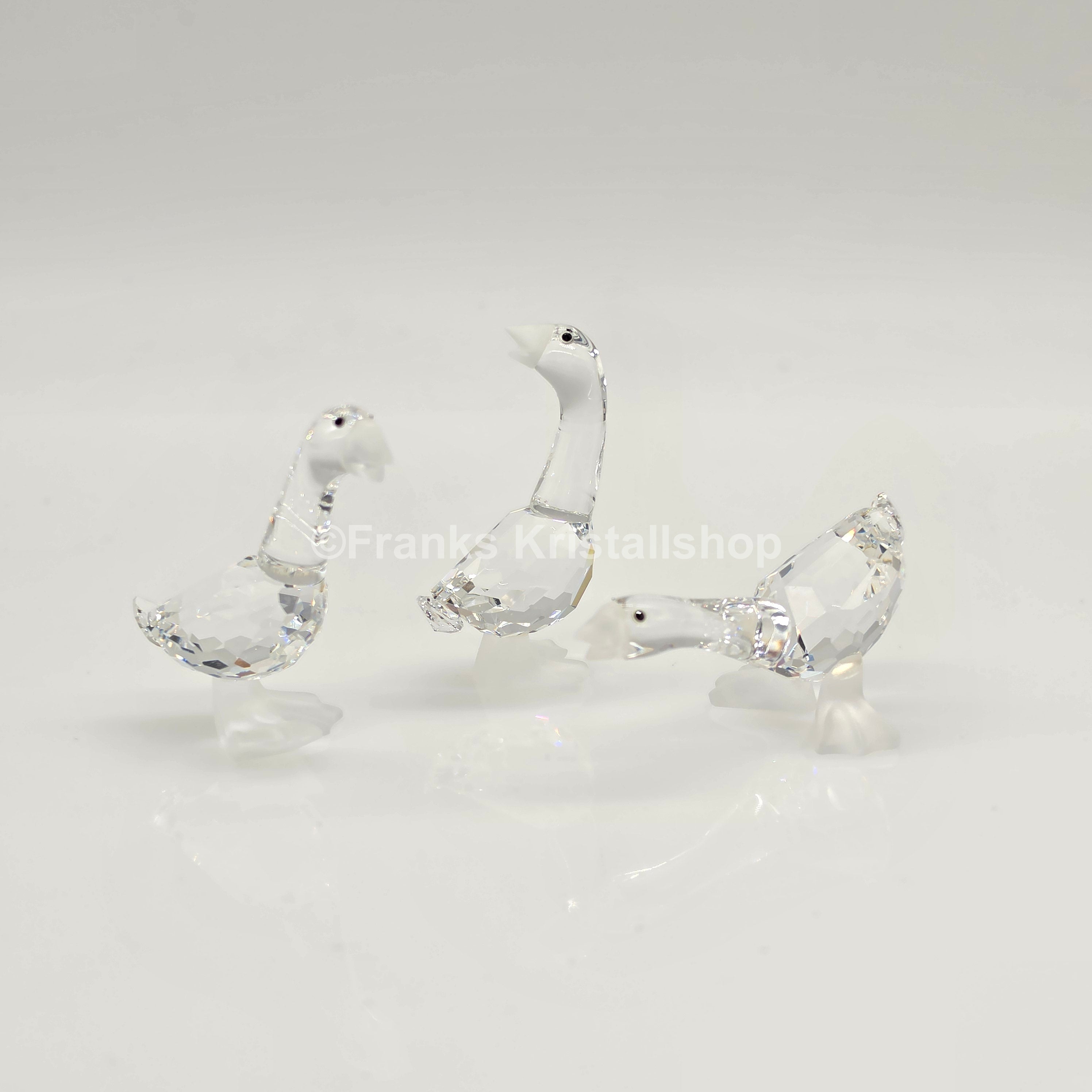 SWAROVSKI Gänsekinder Tom, Harry und Dick 174961, 174962, 174963 oV
