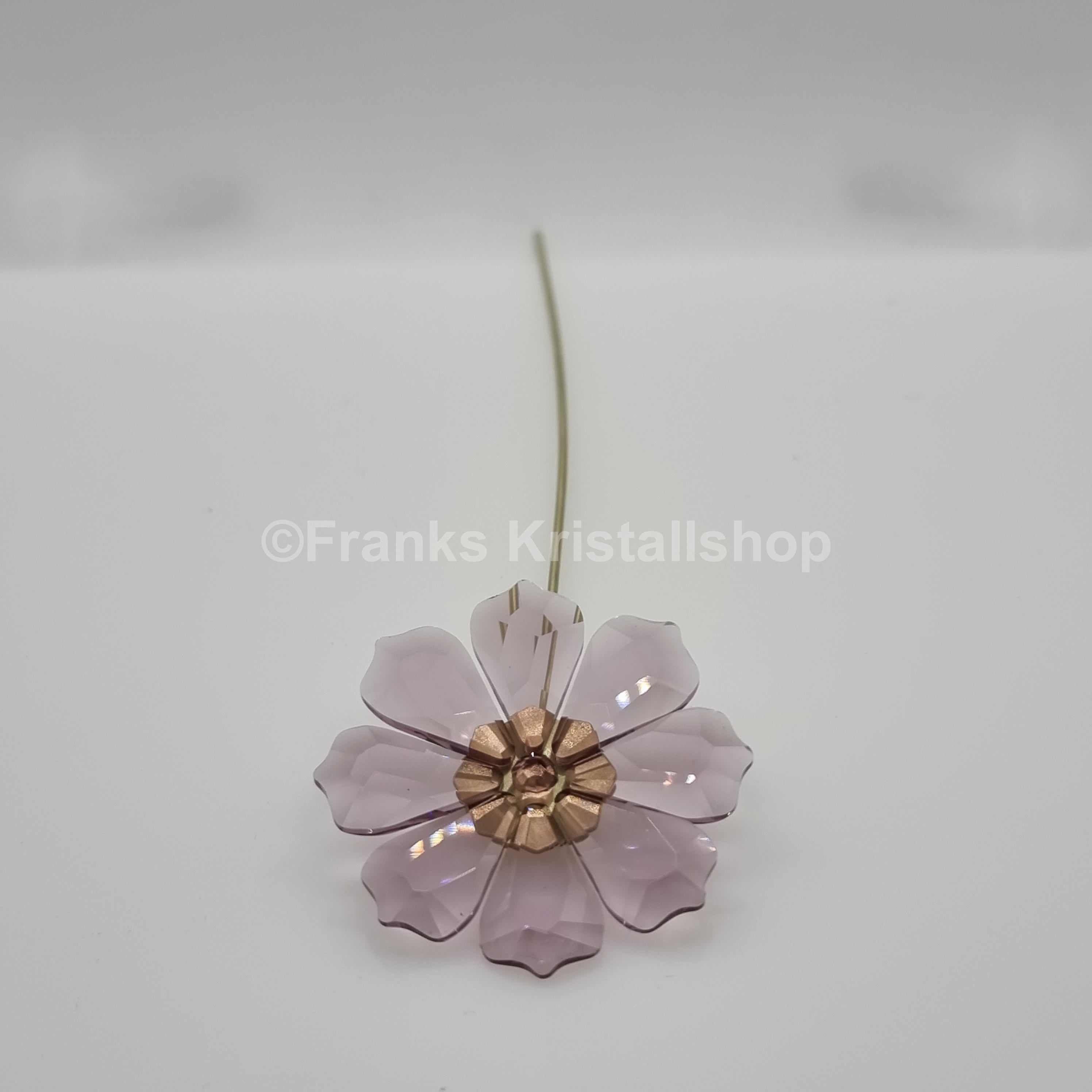 SWAROVSKI Blumenträume Garden Tales Kosmea 5557801