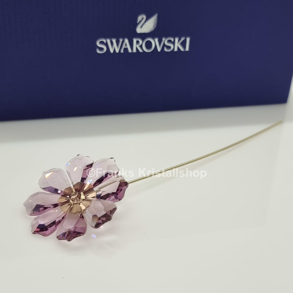 SWAROVSKI Blumenträume Garden Tales Kosmea 5557801