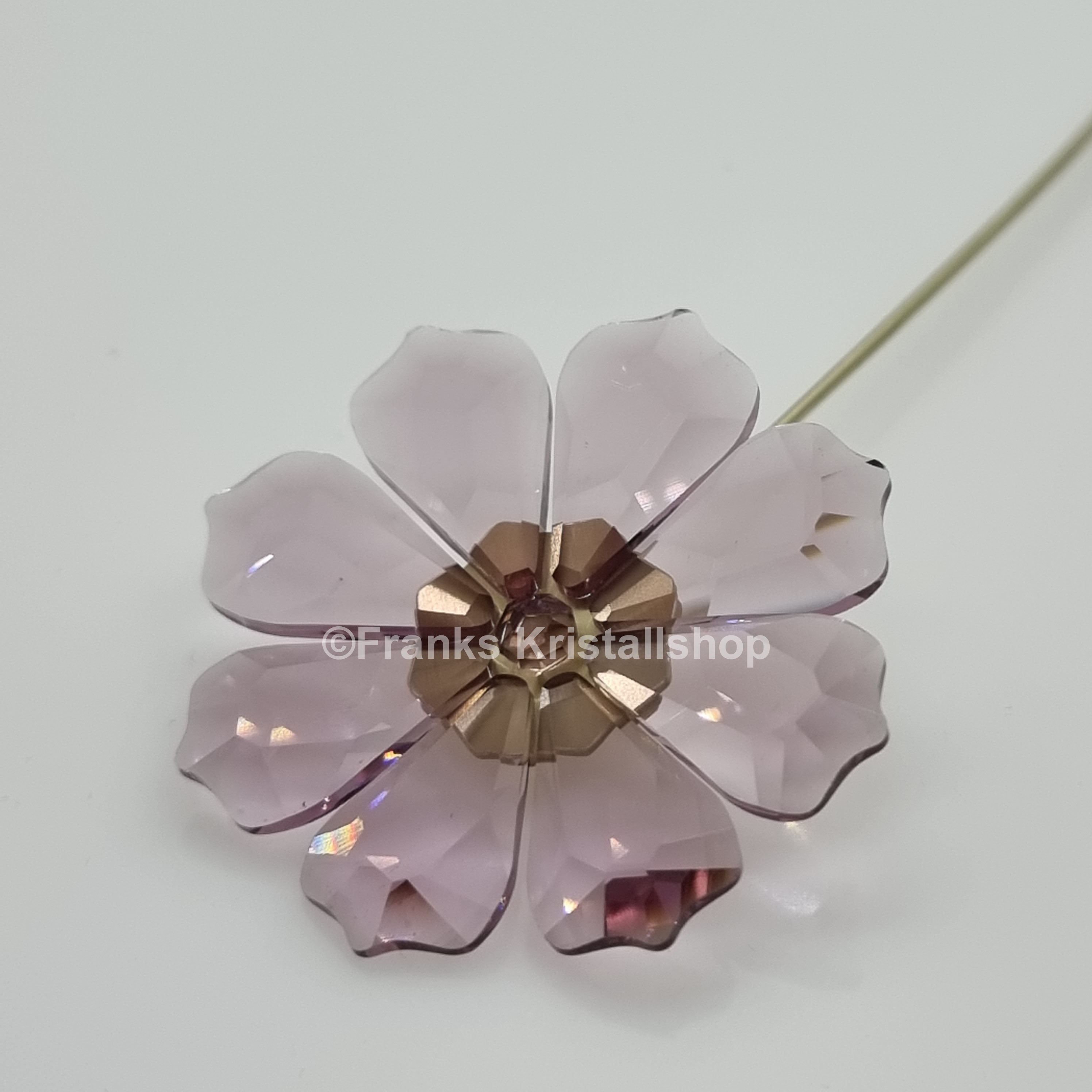 SWAROVSKI Blumenträume Garden Tales Kosmea 5557801