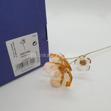 Lade das Bild in den Galerie-Viewer, SWAROVSKI Blumenträume Garden Tales Magnolie 5557799
