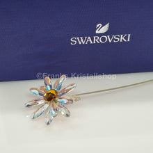 Lade das Bild in den Galerie-Viewer, SWAROVSKI Blumenträume Garden Tales Margerite 5619221
