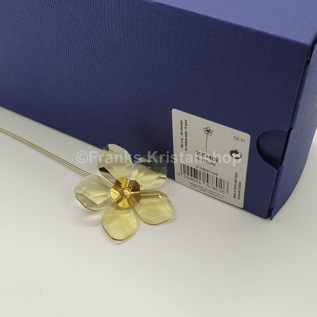 SWAROVSKI Blumenträume Garden Tales Schneerose 5557802