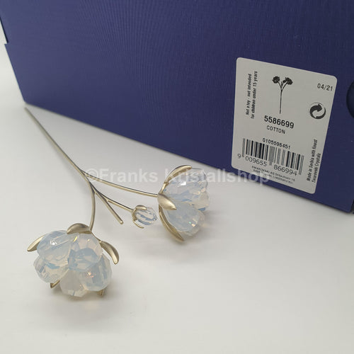 SWAROVSKI Blumenträume Garden Tales Baumwolle 5586699