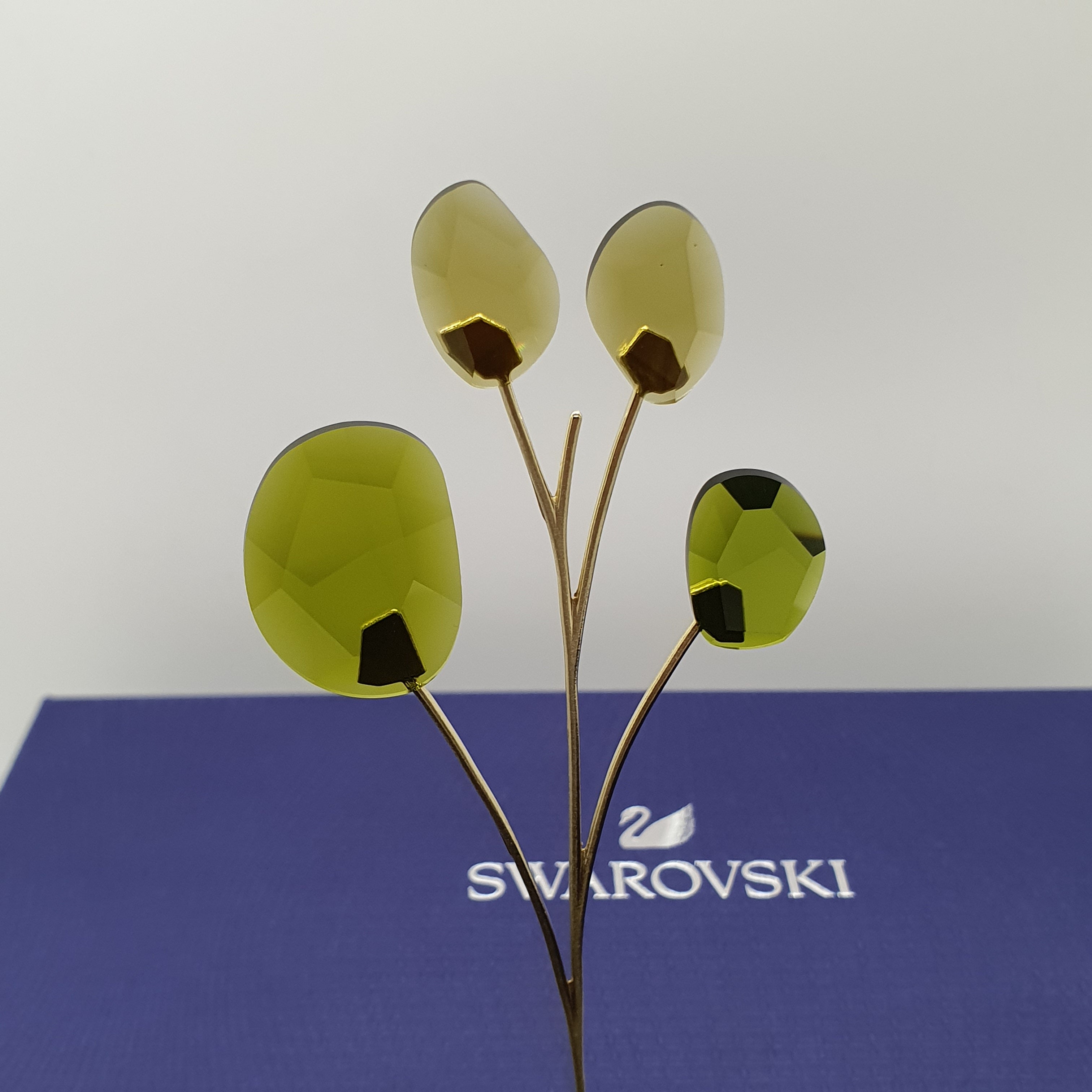 SWAROVSKI Blumenträume Garden Tales Eukalyptus 5557803