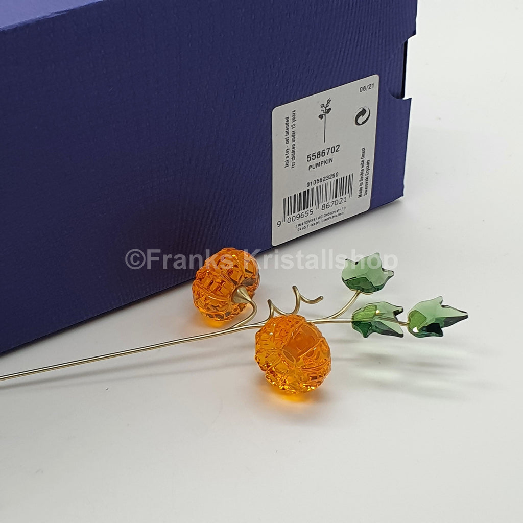 SWAROVSKI Blumenträume Garden Tales Kürbis 5586702