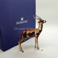 Lade das Bild in den Galerie-Viewer, SWAROVSKI SCS Jahresfigur Gazelle 2018 5301551
