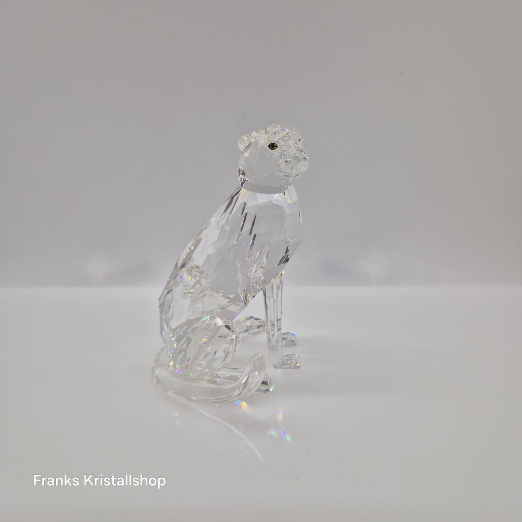SWAROVSKI Der Gepard 183225